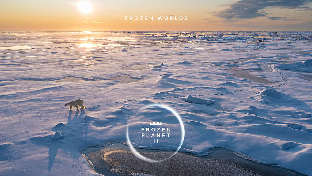 Dive into all five Frozen Planet II worlds